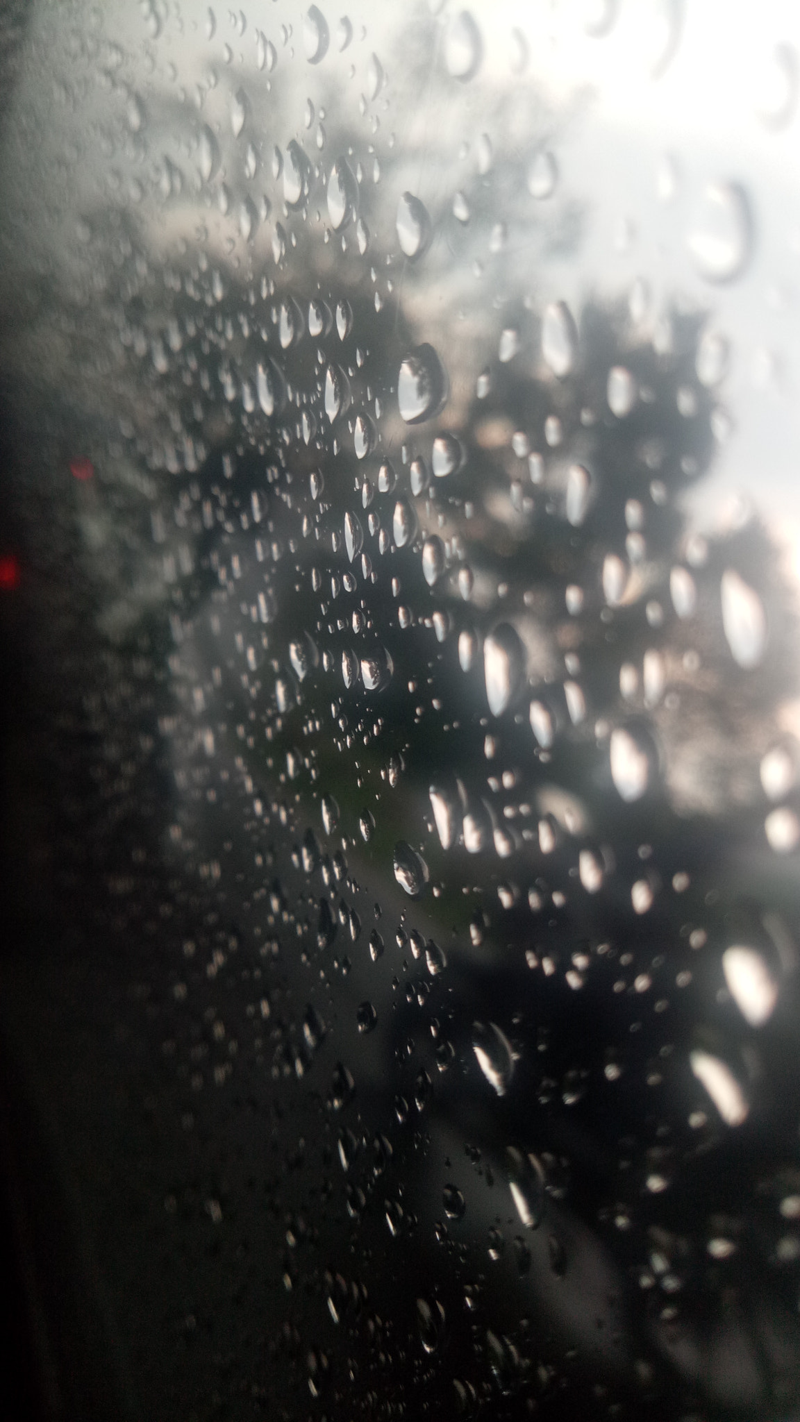 OPPO A1601 sample photo