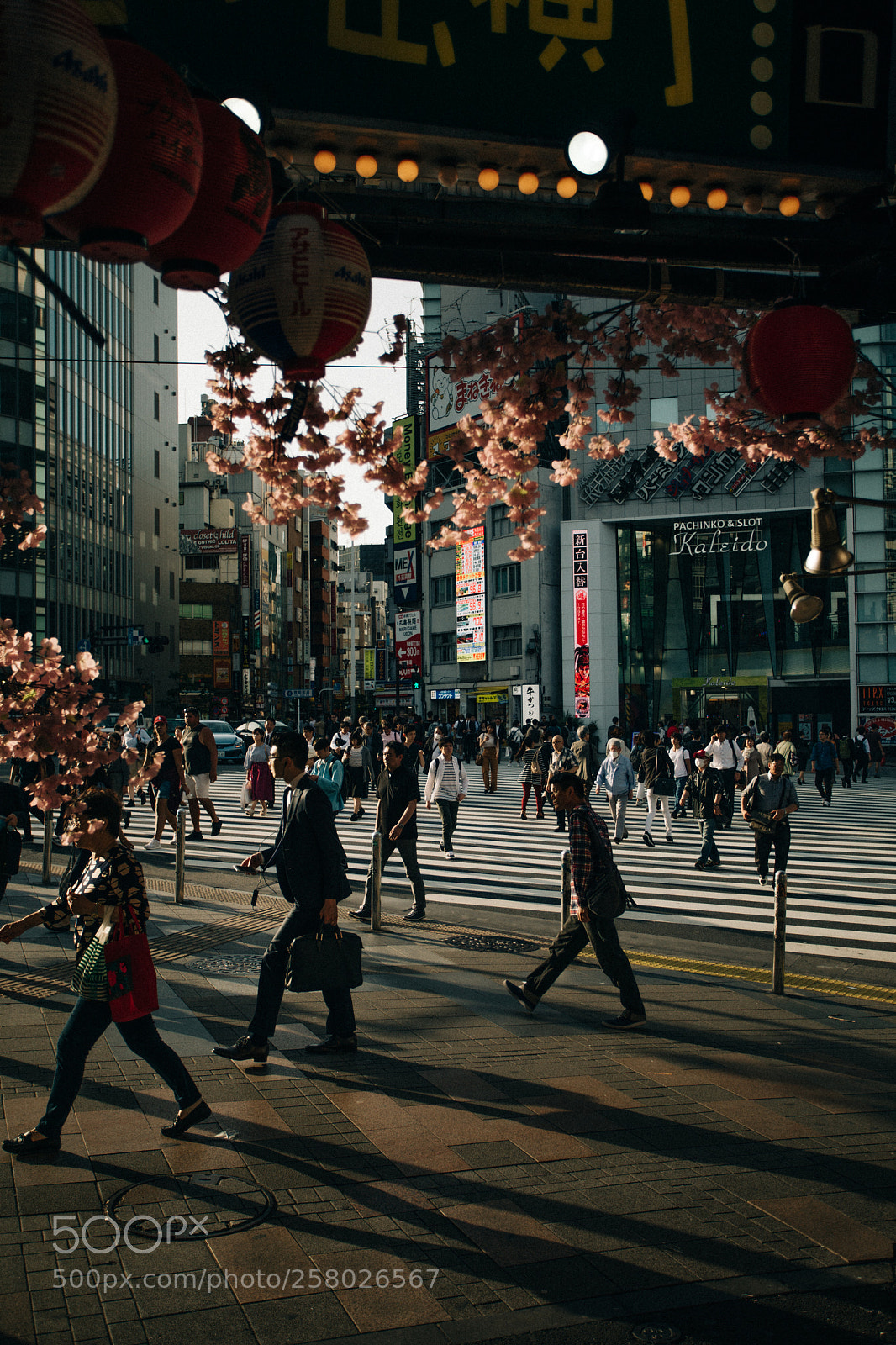 Canon EOS 5D Mark IV sample photo. Omohide photography