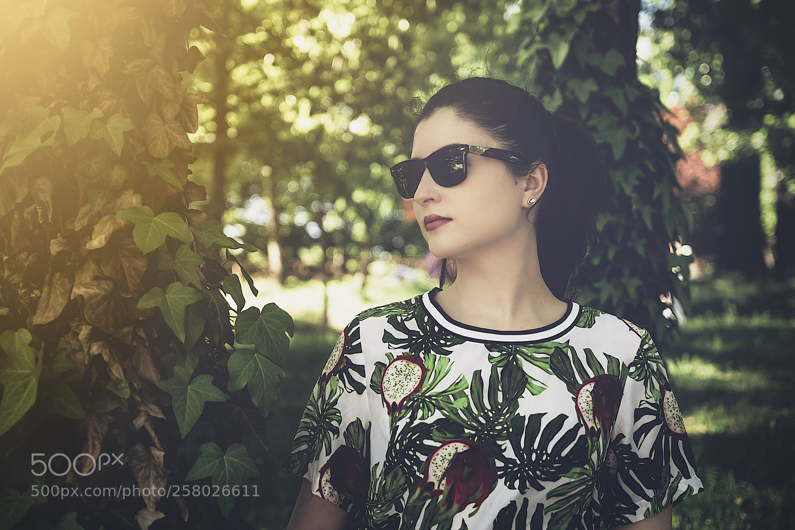 Nikon D3300 sample photo. Nature photography