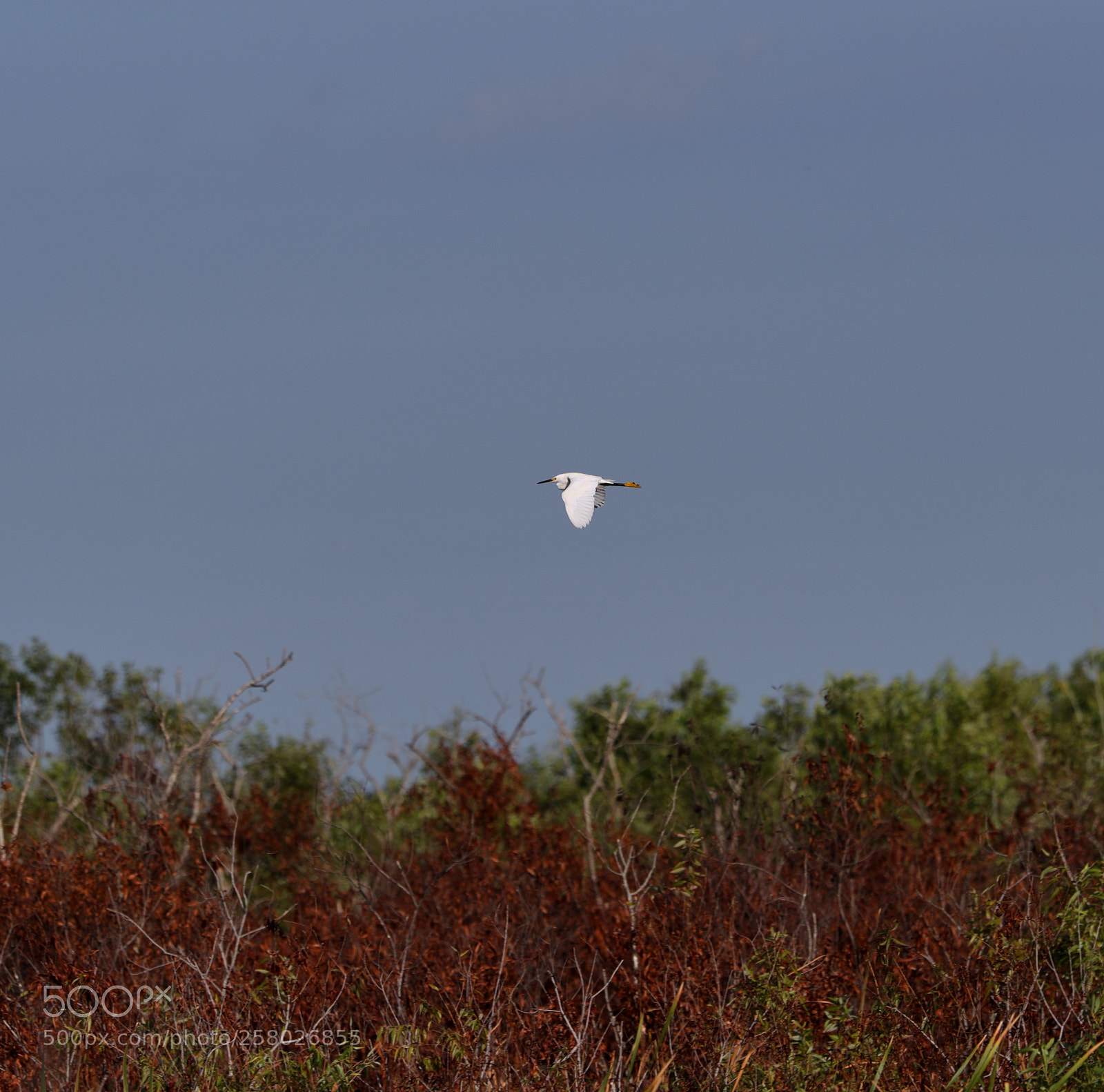 Canon EOS-1D X Mark II sample photo. 05-15-18-0017596.jpg photography