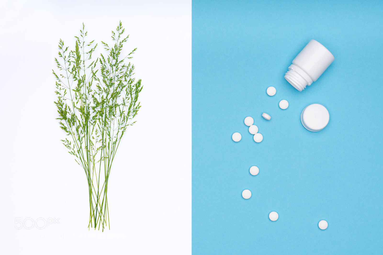 Nikon D810 sample photo. Allergy. allergens, antihistamin pills photography