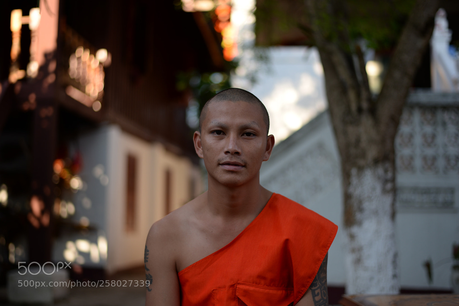 Nikon D610 sample photo. L a o s photography