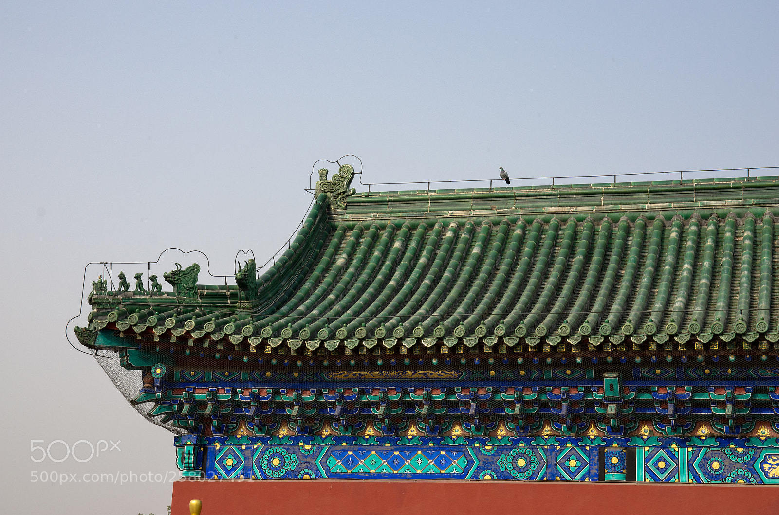 Nikon D5100 sample photo. Can you find the photography