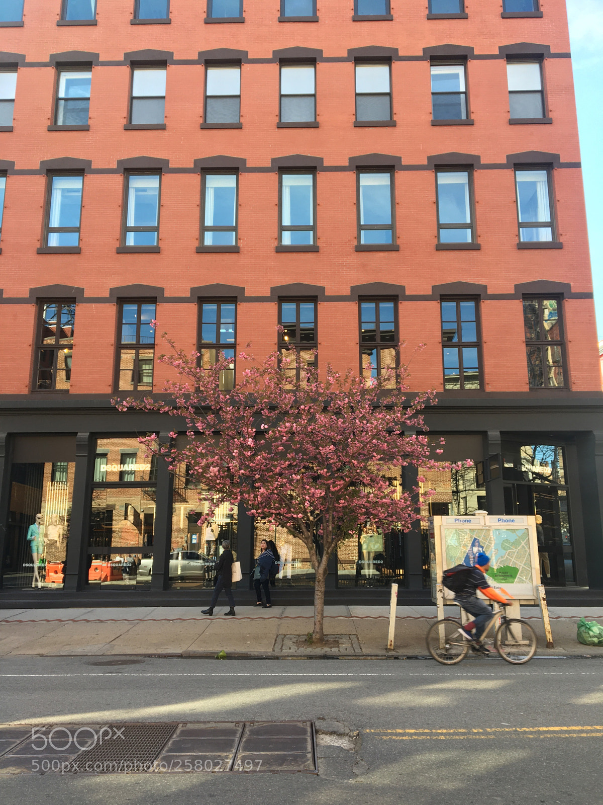 Apple iPhone 6s sample photo. Spring in new york  photography