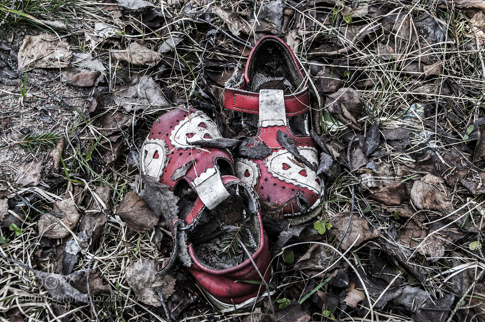 Nikon D90 sample photo. — копия photography