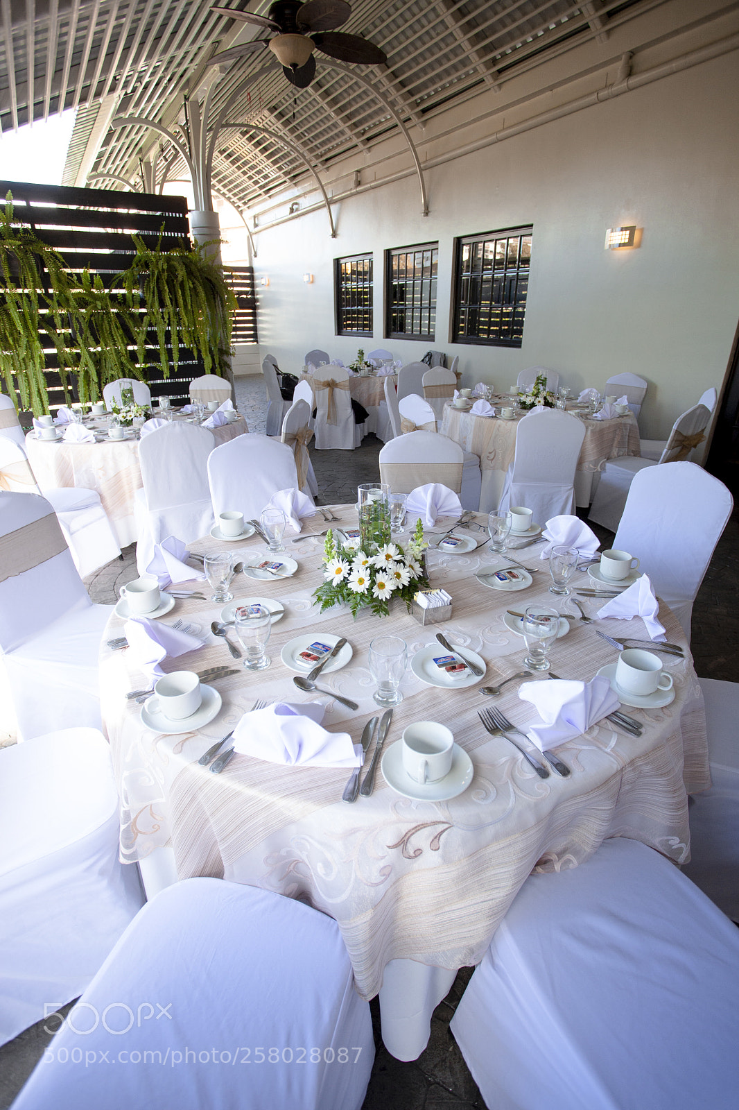 Canon EOS 5D Mark II sample photo. Boda civil diego alonso photography