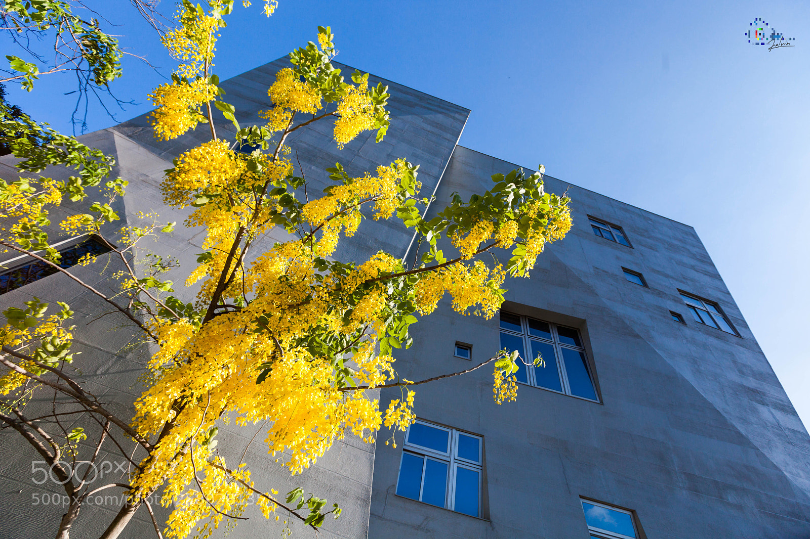 Canon EOS 5D Mark II sample photo. 雲哥感受到:台南阿伯很熱的季節到來 photography
