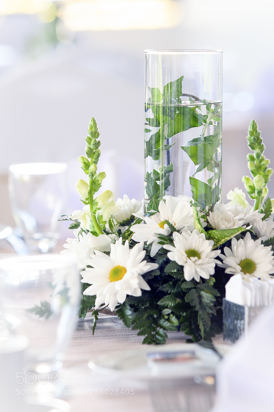 Canon EOS 5D Mark II sample photo. Boda civil diego alonso photography