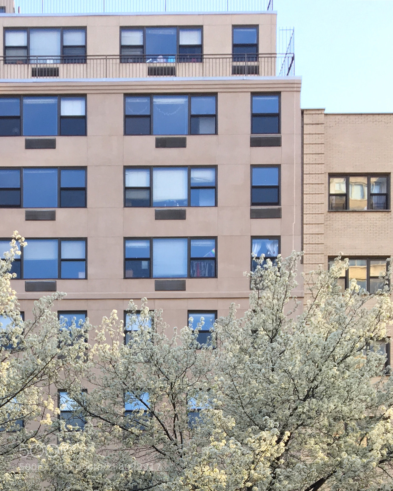Apple iPhone 6s sample photo. Spring in new york photography
