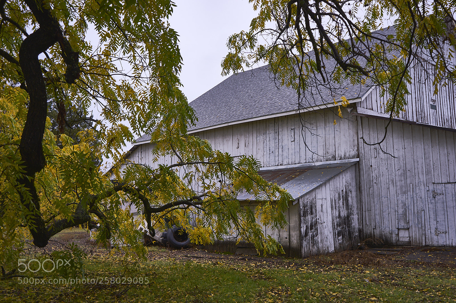 Sony a7 II sample photo. Fall on the farm photography