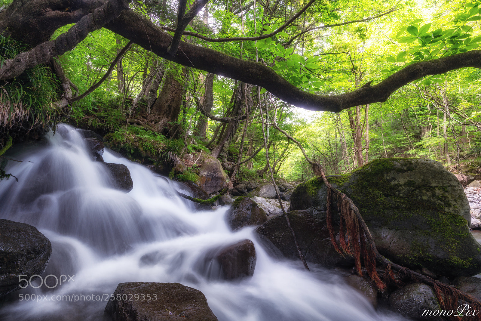 Sony a7R III sample photo. Mountain spring water photography