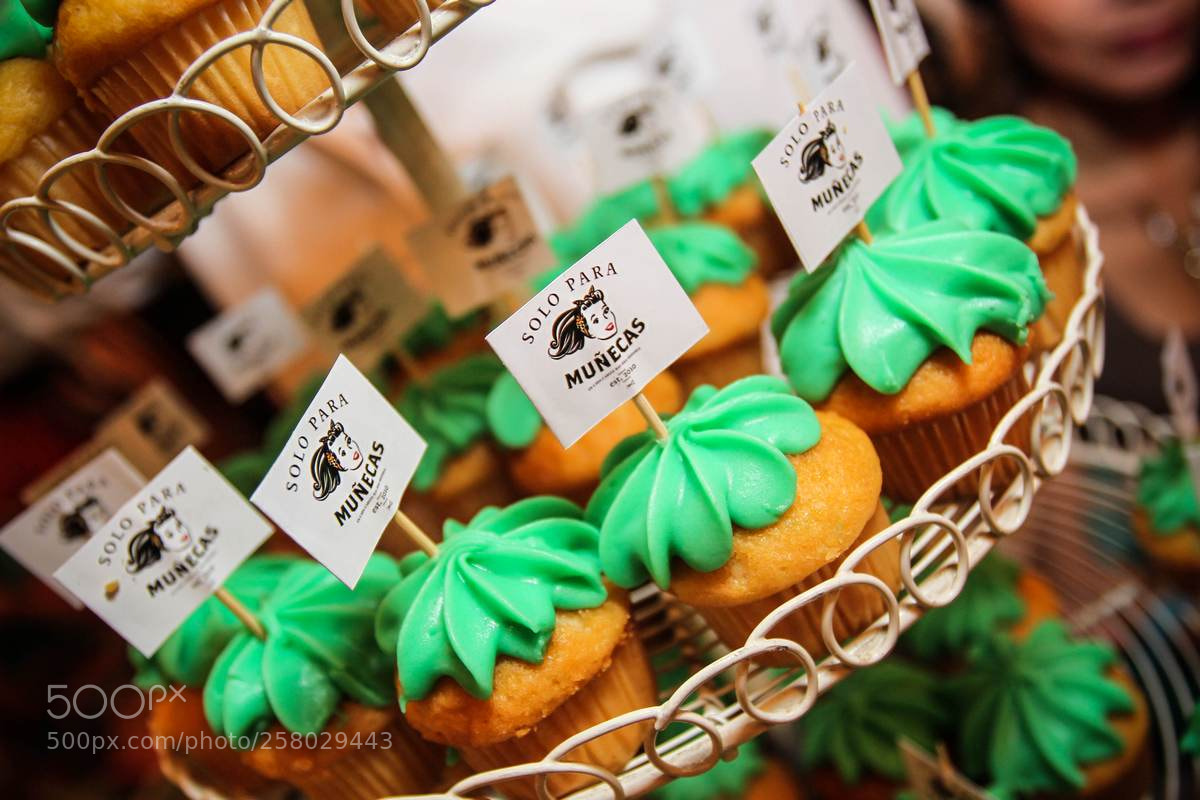 Canon EOS-1D Mark IV sample photo. Fotosuceso 2018 photography