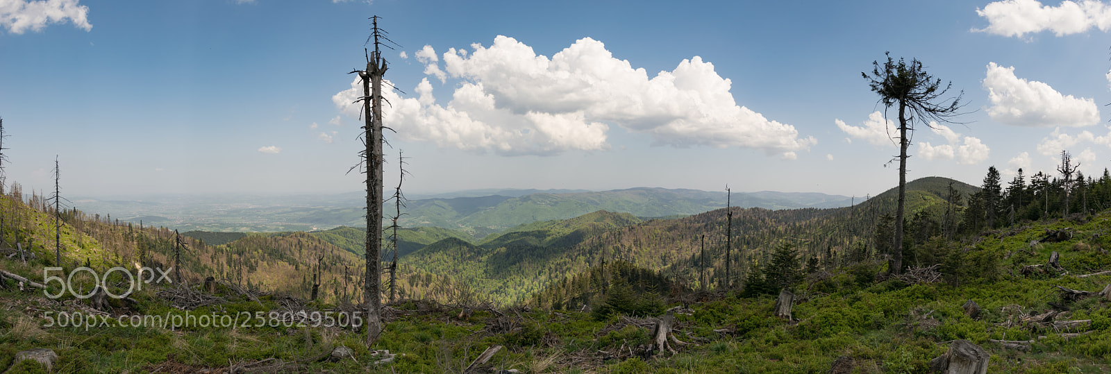 Nikon D5300 sample photo. Pieniny 2 photography