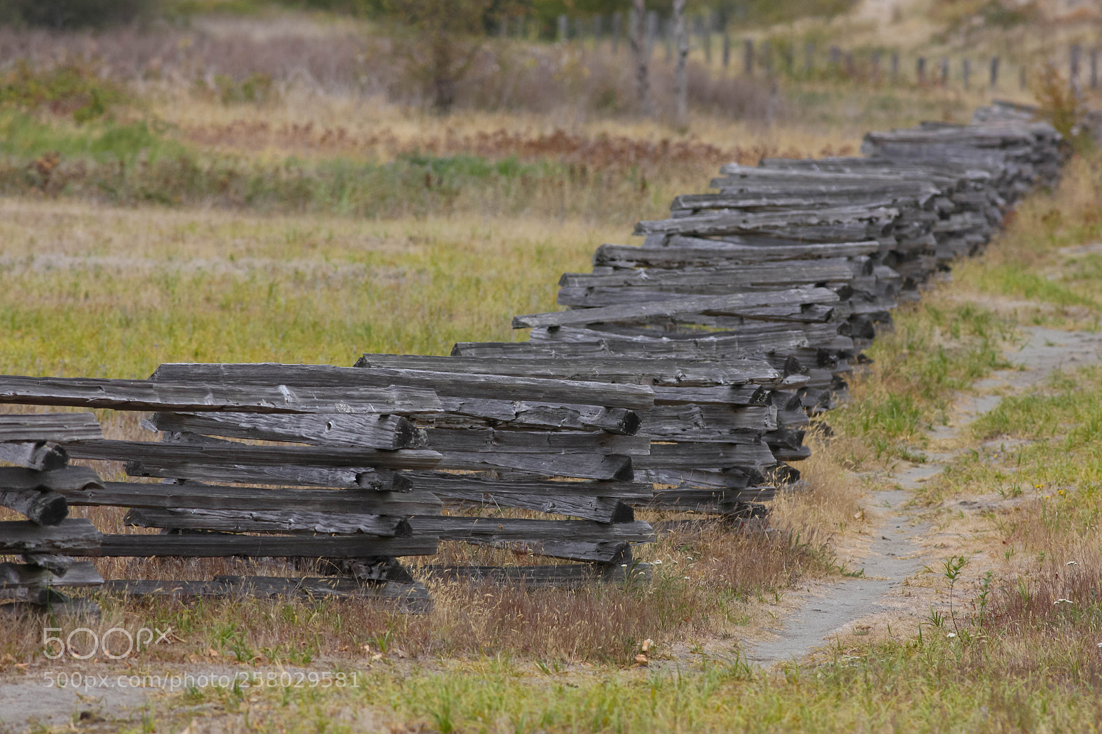 Canon EOS-1Ds Mark III sample photo. Fence photography