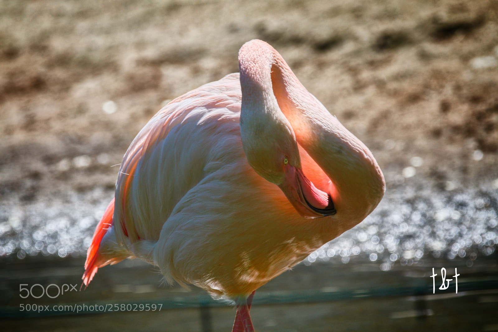 Canon EOS 7D sample photo. Untitled photography