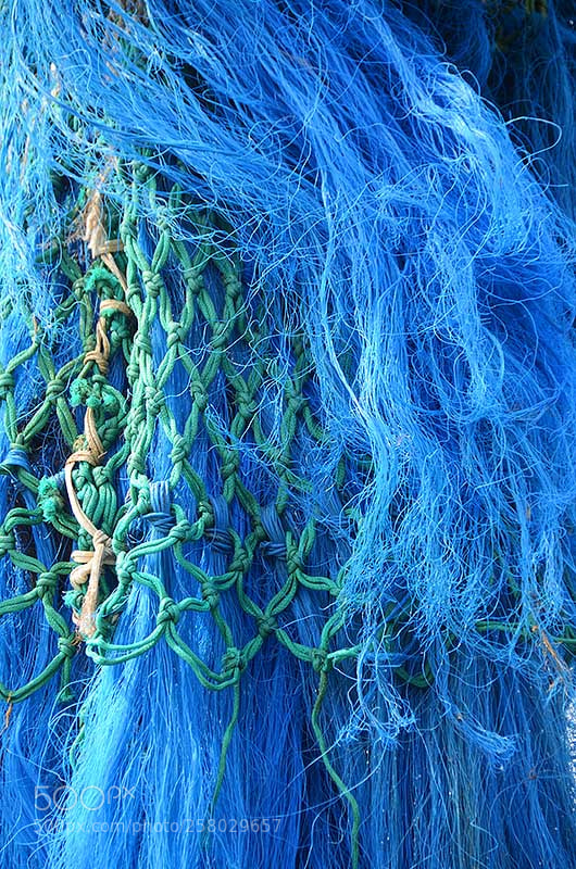 Nikon D7000 sample photo. Metaphor of life, of photography