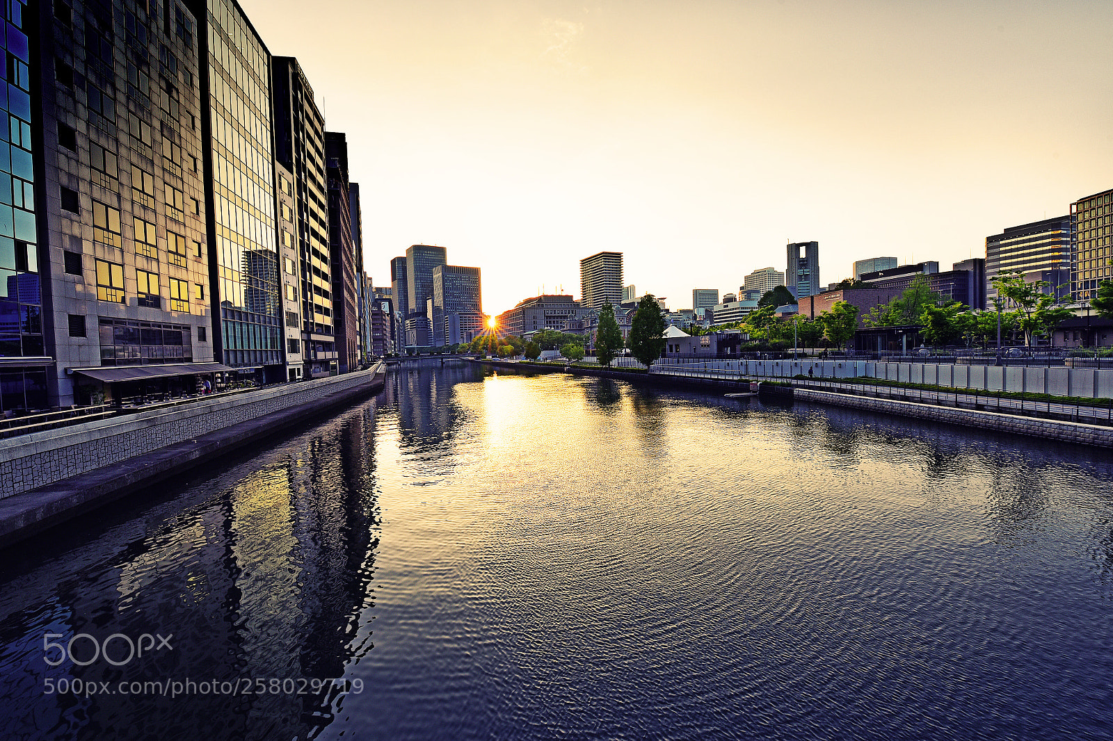 Nikon D750 sample photo. Brightest sunset photography