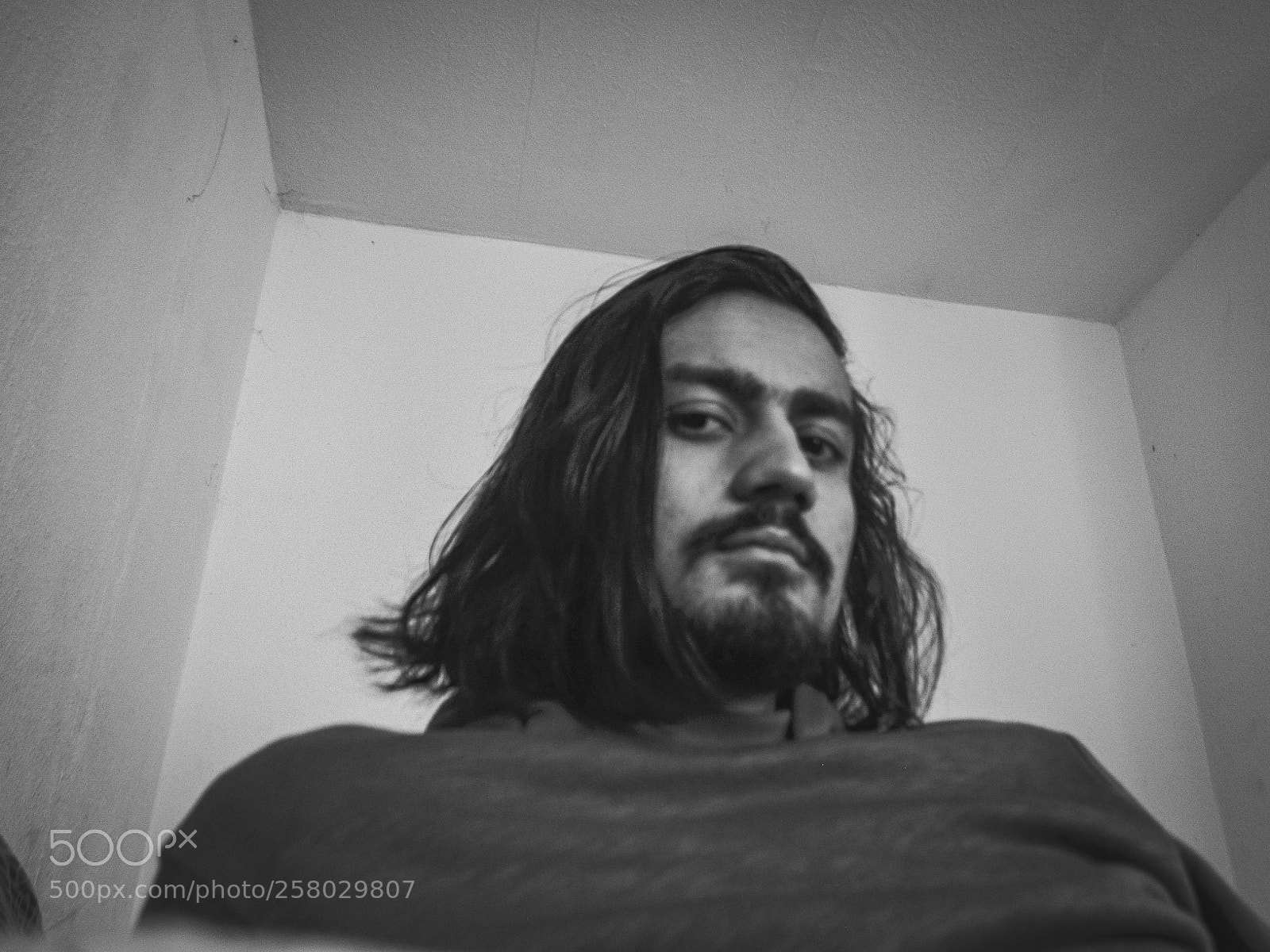 Nikon D5100 sample photo. Untitled photography