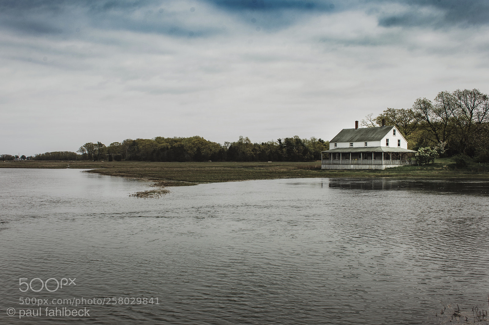 Nikon D7200 sample photo. Marsh photography