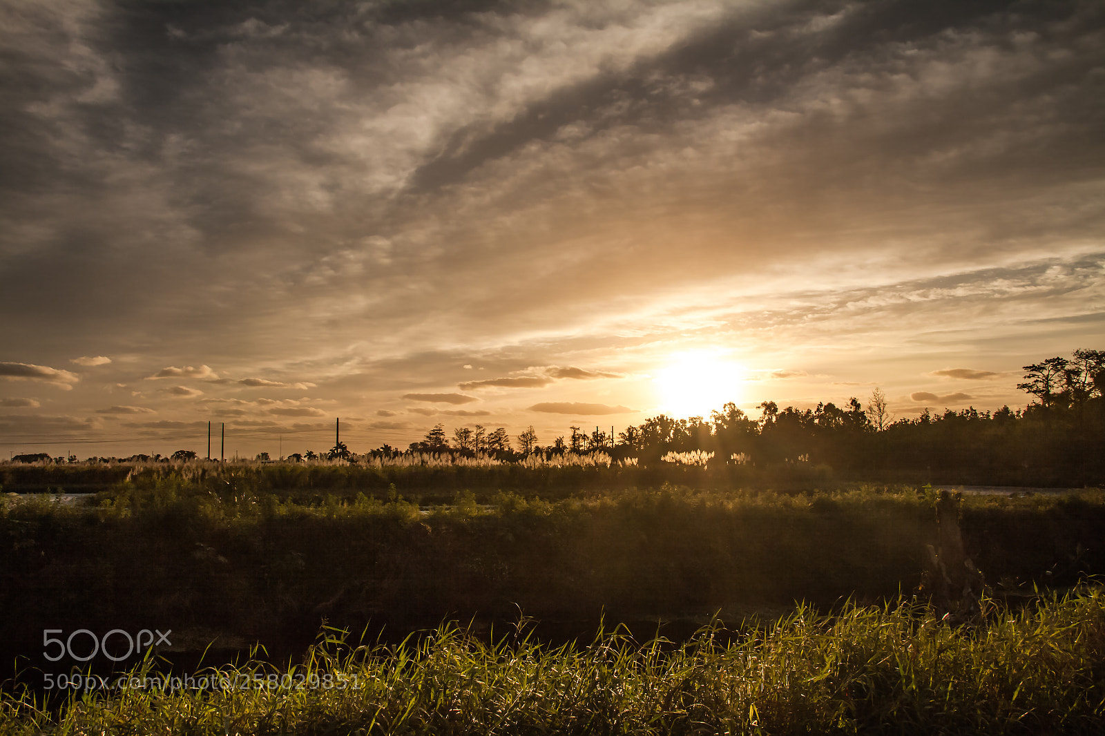 Canon EOS 50D sample photo. Loxahatchee sunriseedit photography