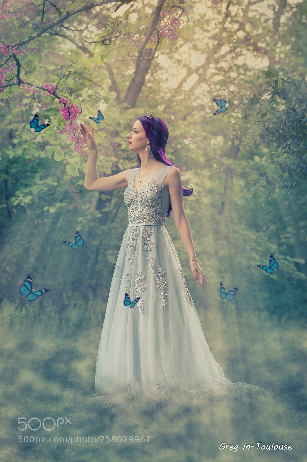 Canon EOS 70D sample photo. Néa butterfly photography