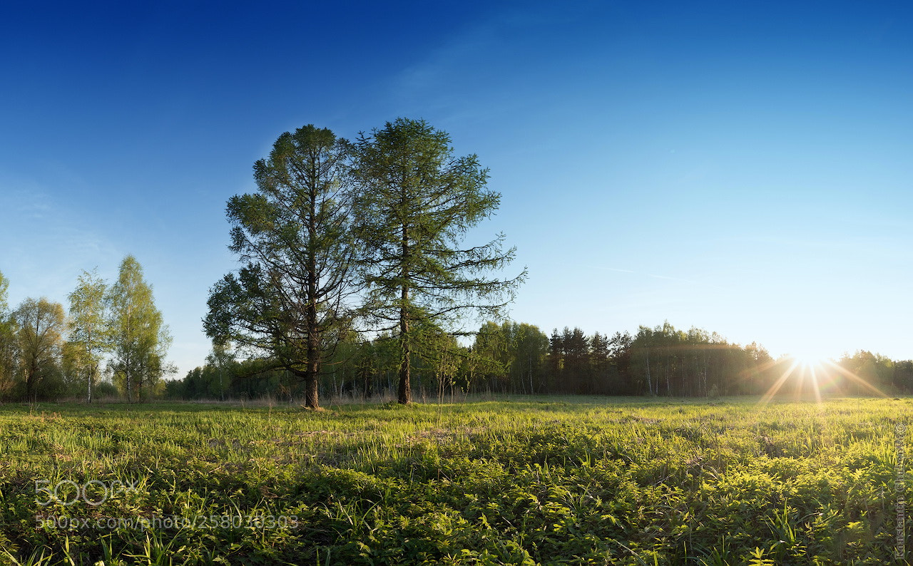 Sony a7R III sample photo. *** photography