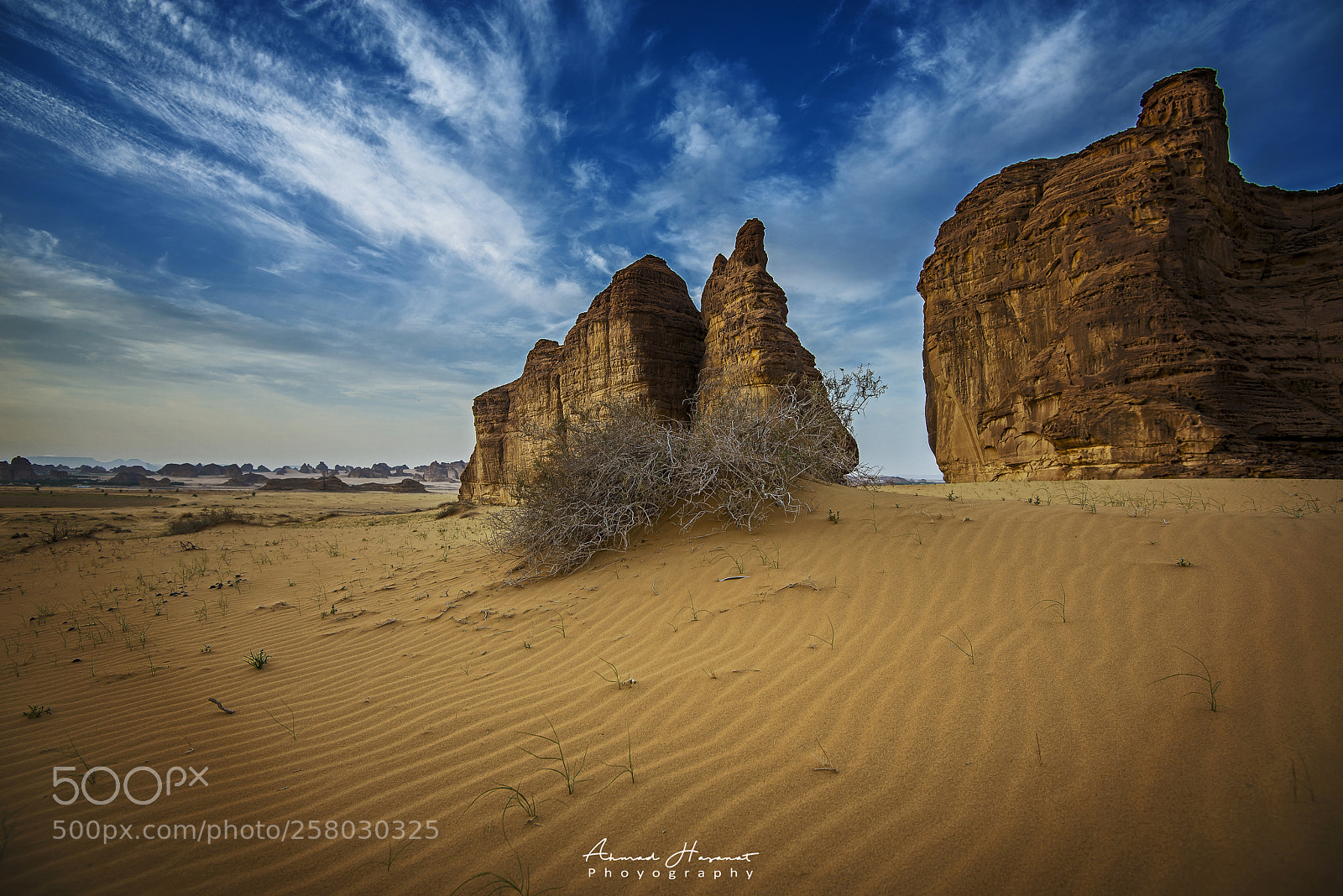 Nikon D800E sample photo. The desert photography