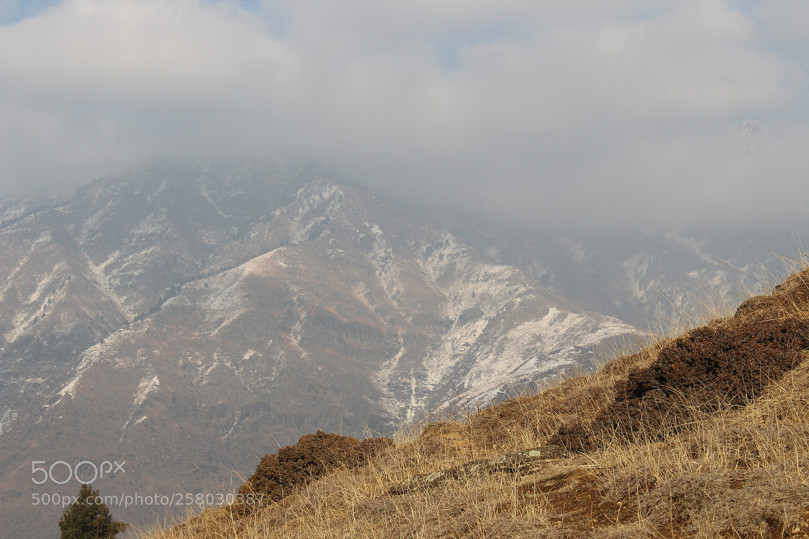 Canon EOS 1300D (EOS Rebel T6 / EOS Kiss X80) sample photo. Img photography