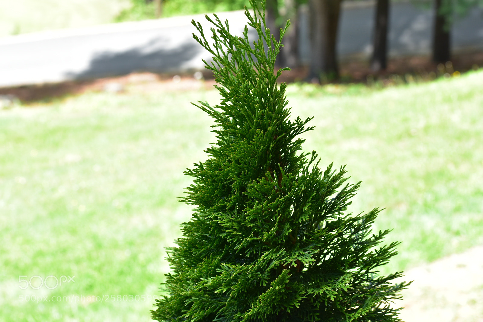 Nikon D3400 sample photo. Dsc photography