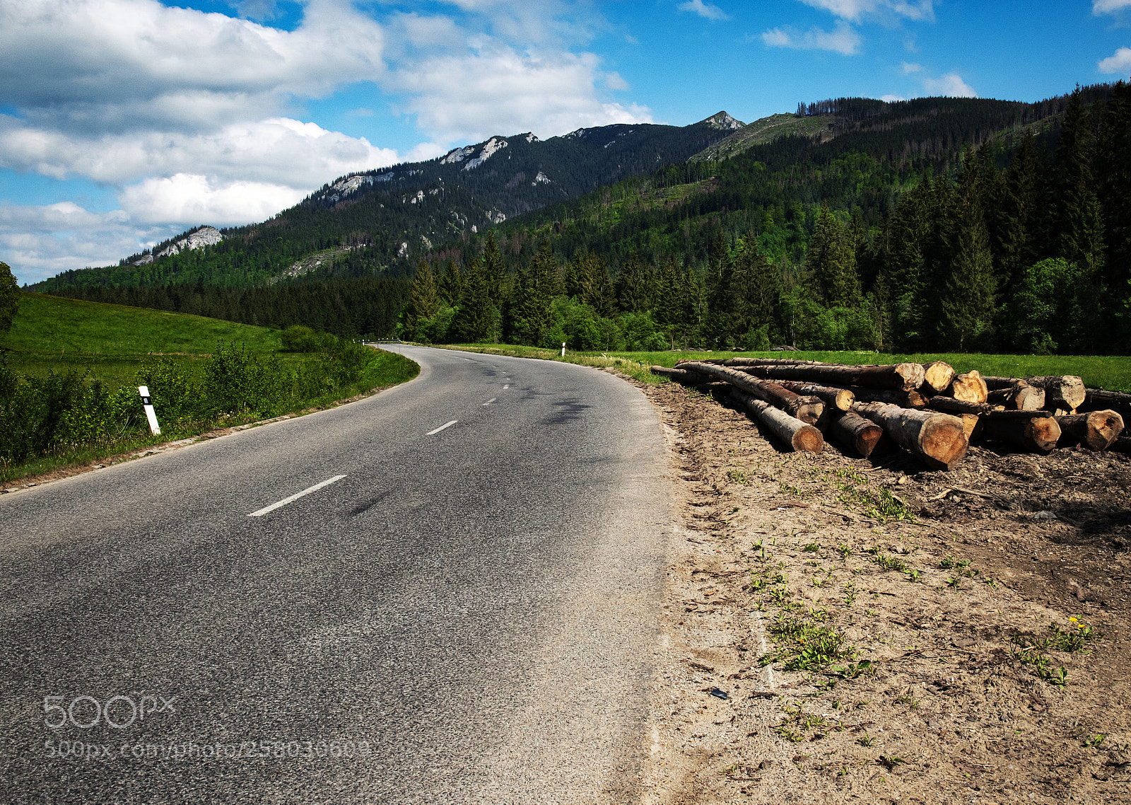 Nikon D5500 sample photo. Road beautiful landscape in photography