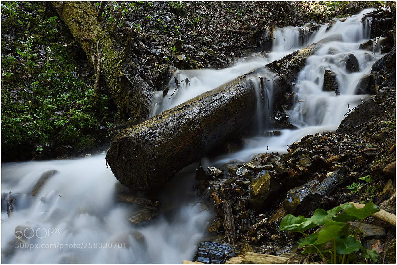Nikon D810 sample photo. Desenski potok 5 photography