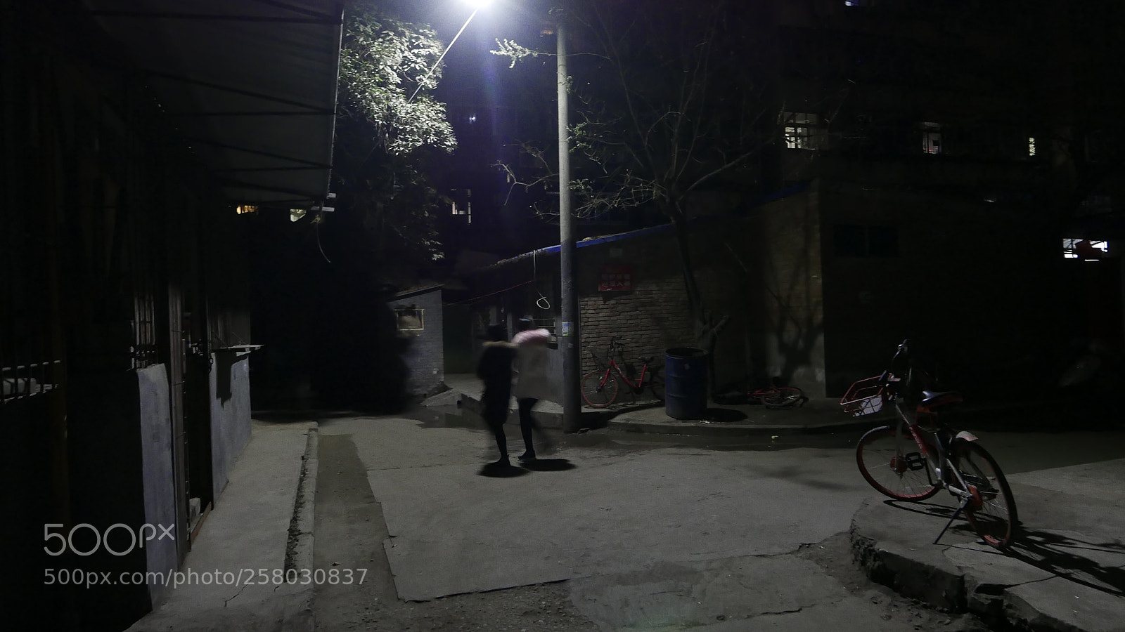 Leica D-Lux (Typ 109) sample photo. 《子夜長安》 photography
