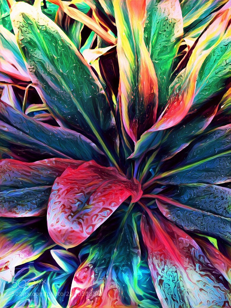 Apple iPhone 7 sample photo. Leaf island photography