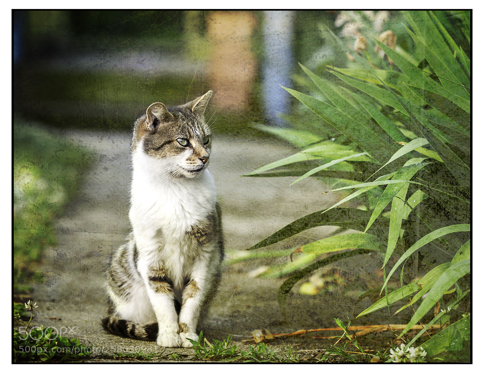 Canon EOS 6D sample photo. Garden watch photography