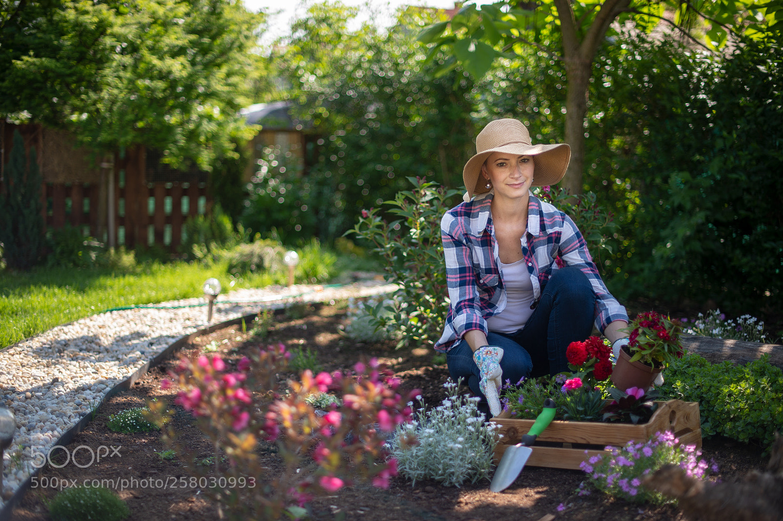 Nikon D4S sample photo. Beautiful female gardener looking photography