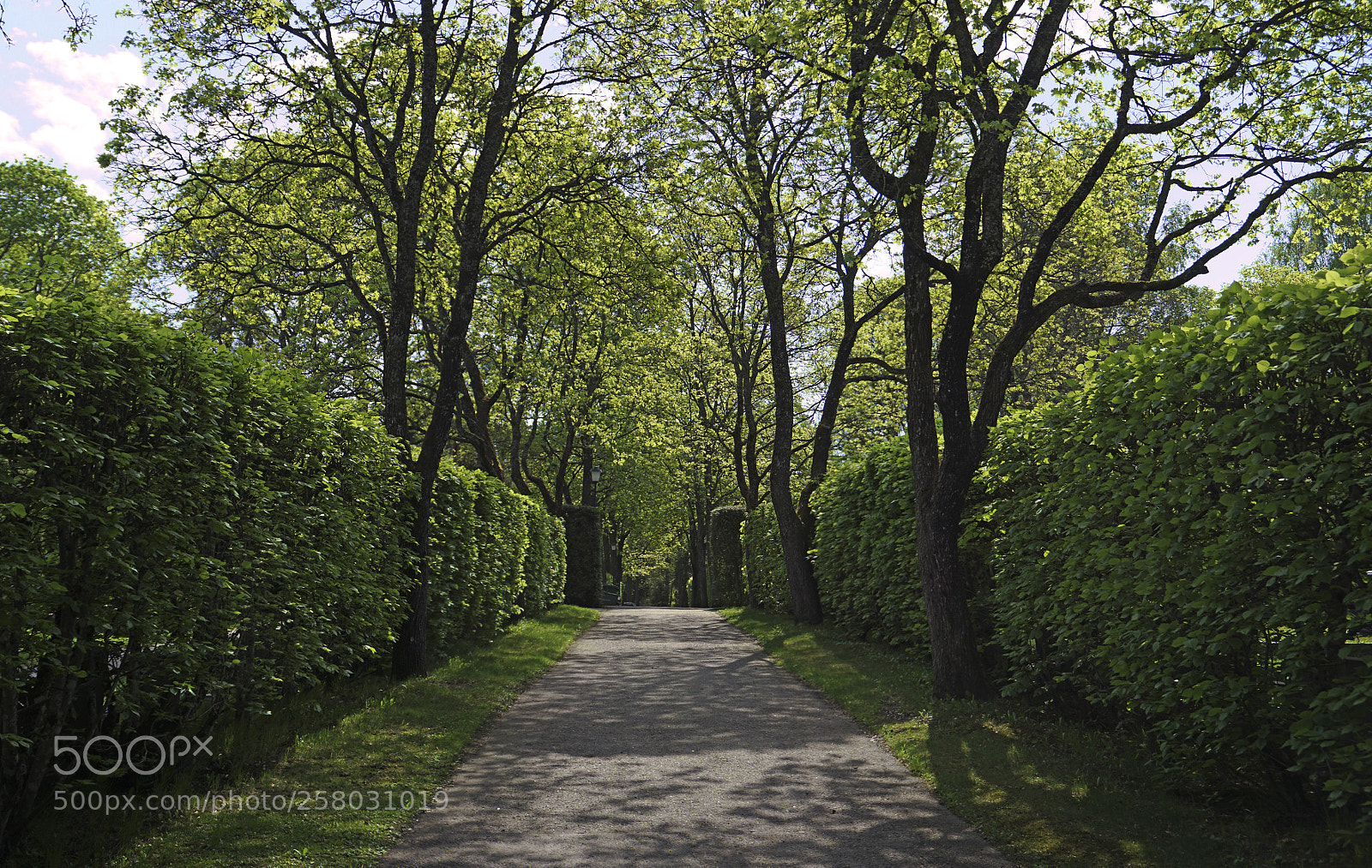 Sony a6300 sample photo. Path photography