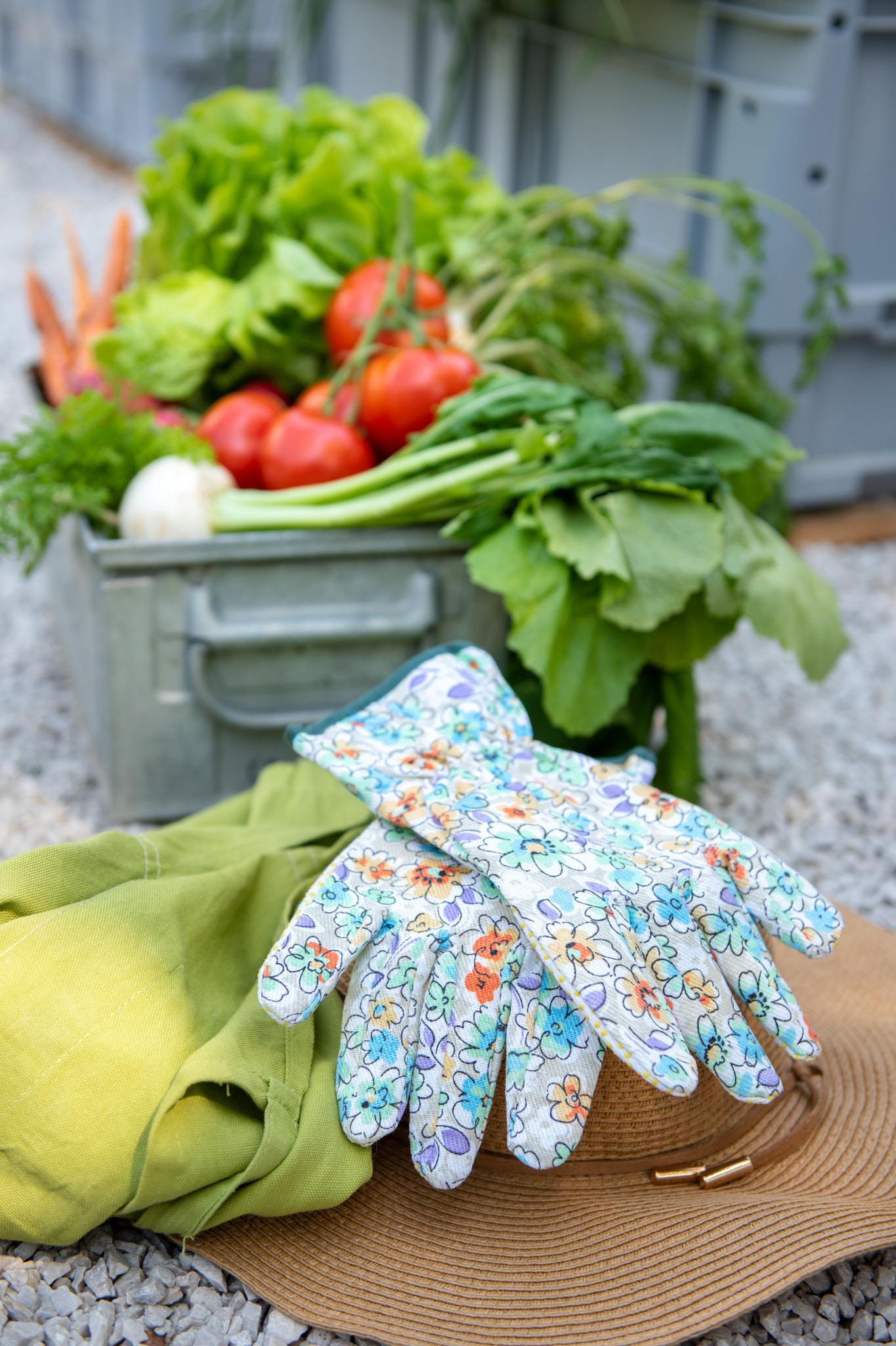 Crate full of freshly harvested vegetables, straw hat and gloves in a garden. Homegrown bio...