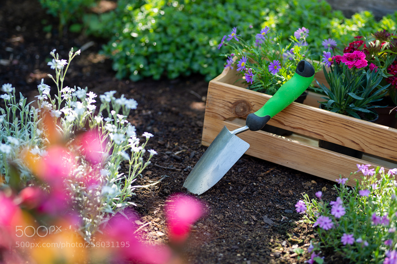 Nikon D4S sample photo. Gardening. crate full of photography