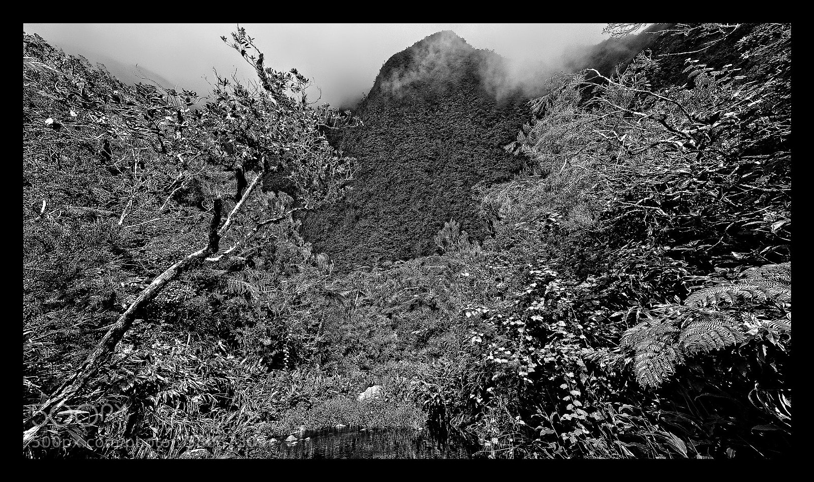 Nikon D7000 sample photo. Ravine des hirondelles photography
