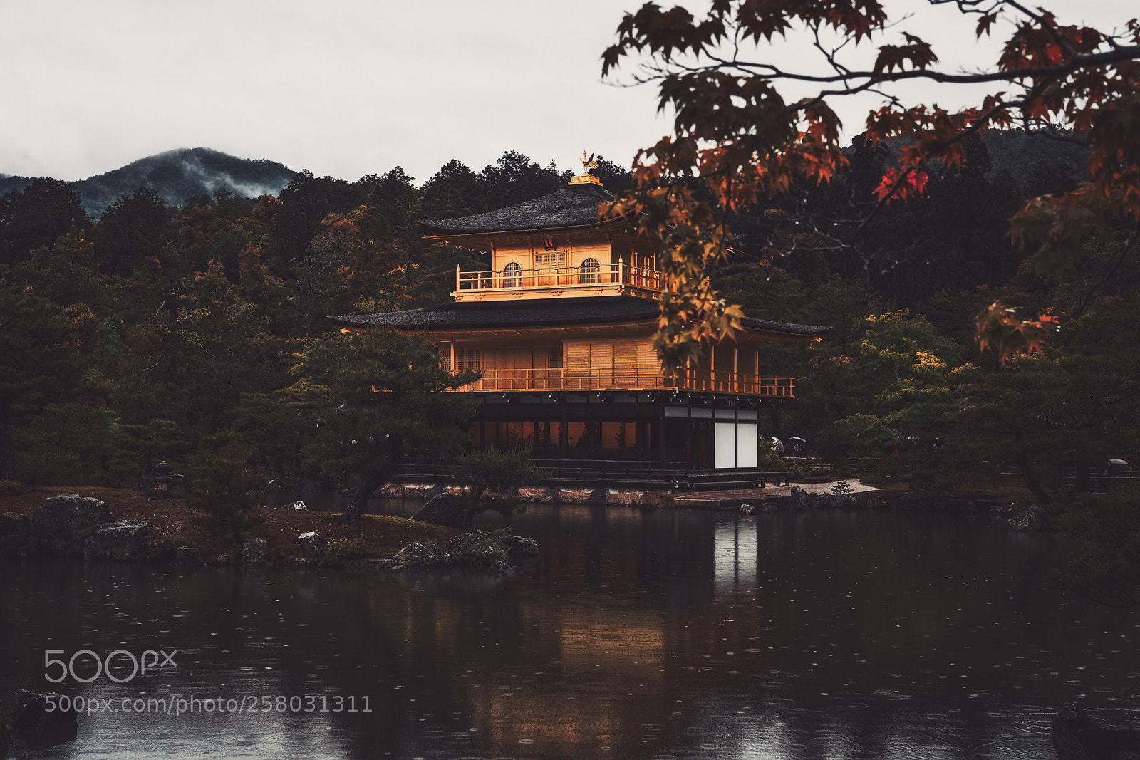 Sony a7R III sample photo. 金阁寺 雨 photography