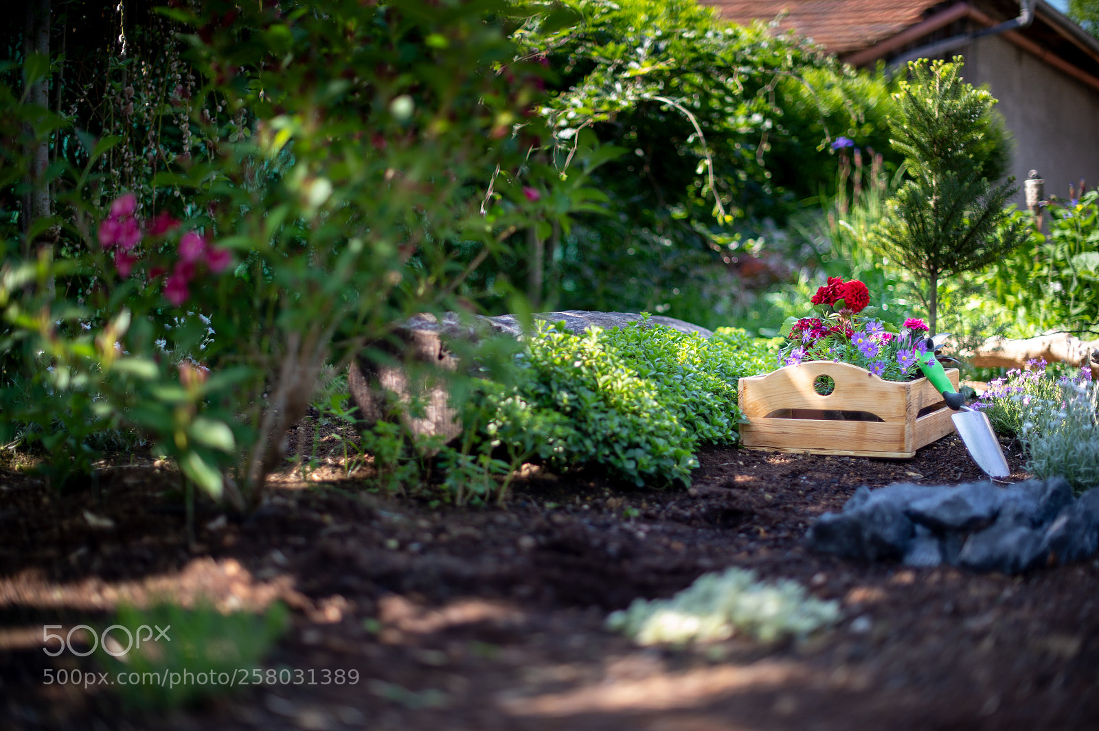 Nikon D4S sample photo. Gardening. crate full of photography