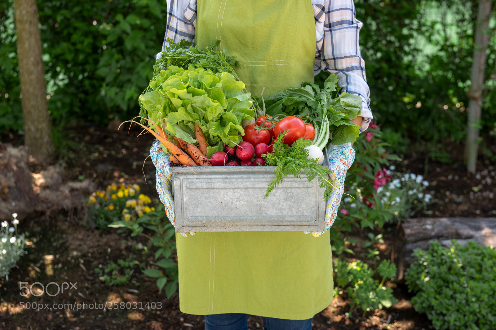 Nikon D810 sample photo. Unrecognisable female farmer holding photography