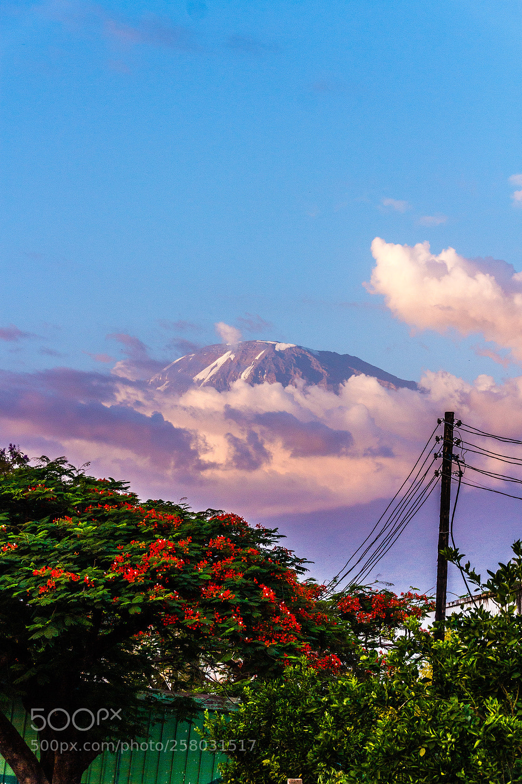 Canon EOS 550D (EOS Rebel T2i / EOS Kiss X4) sample photo. Kili photography