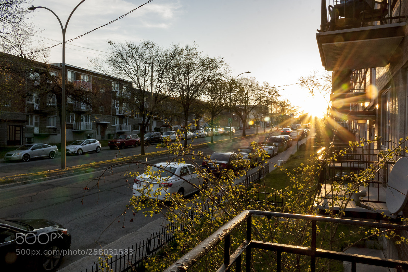 Canon EOS 50D sample photo. Golden hour photography