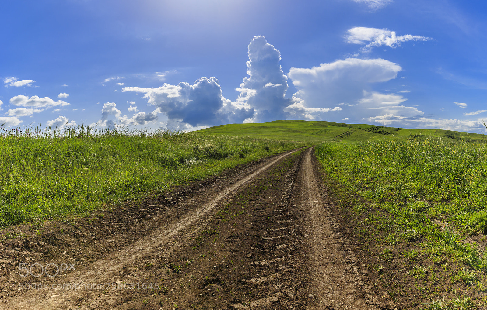Canon EOS 6D sample photo. Incredible spring colors in photography