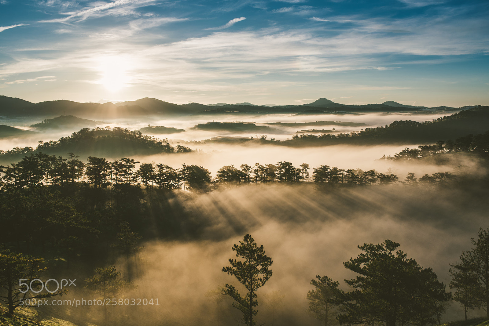 Nikon D750 sample photo. Dalat photography