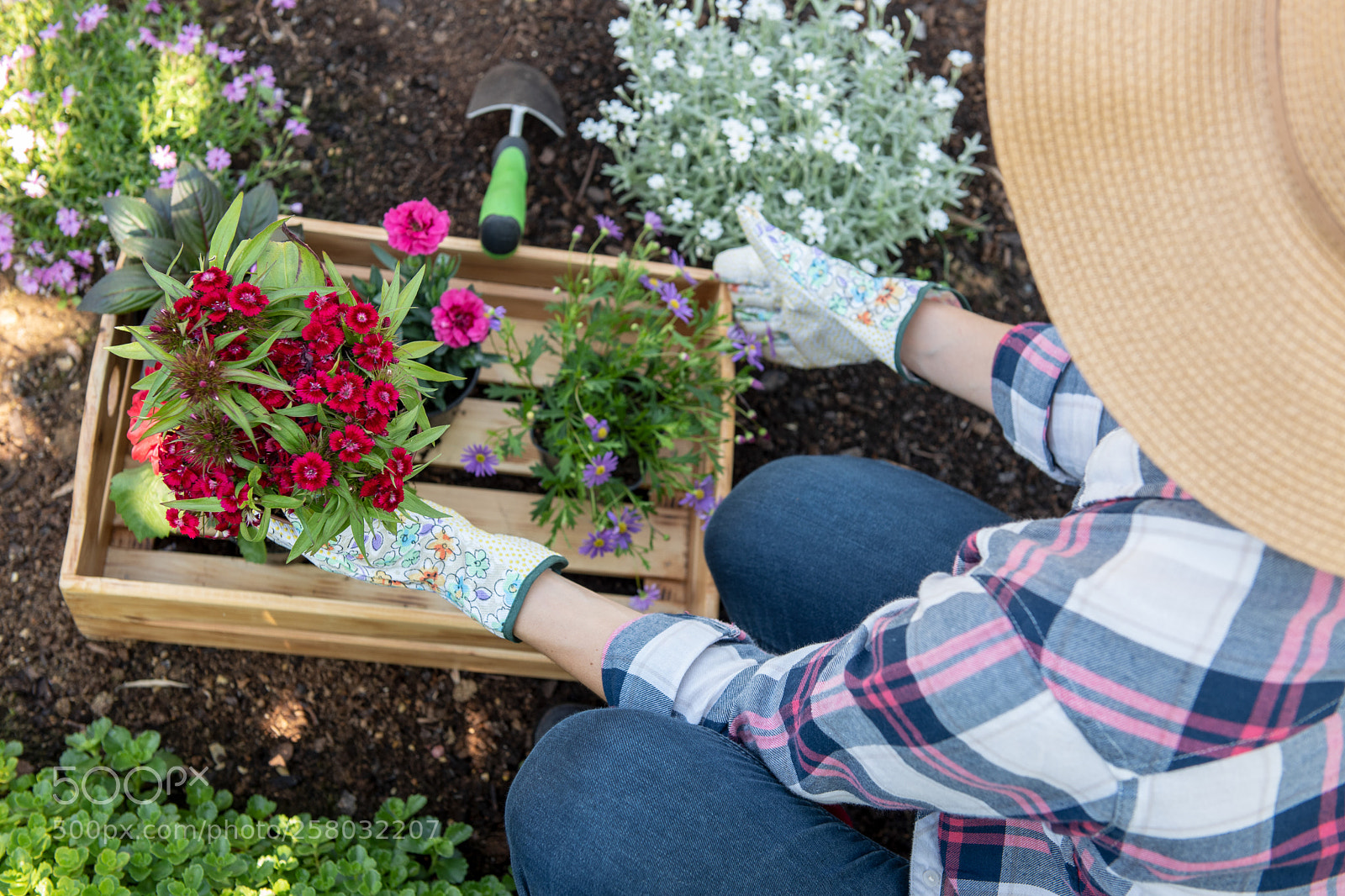 Nikon D810 sample photo. Unrecognizable female gardener holding photography