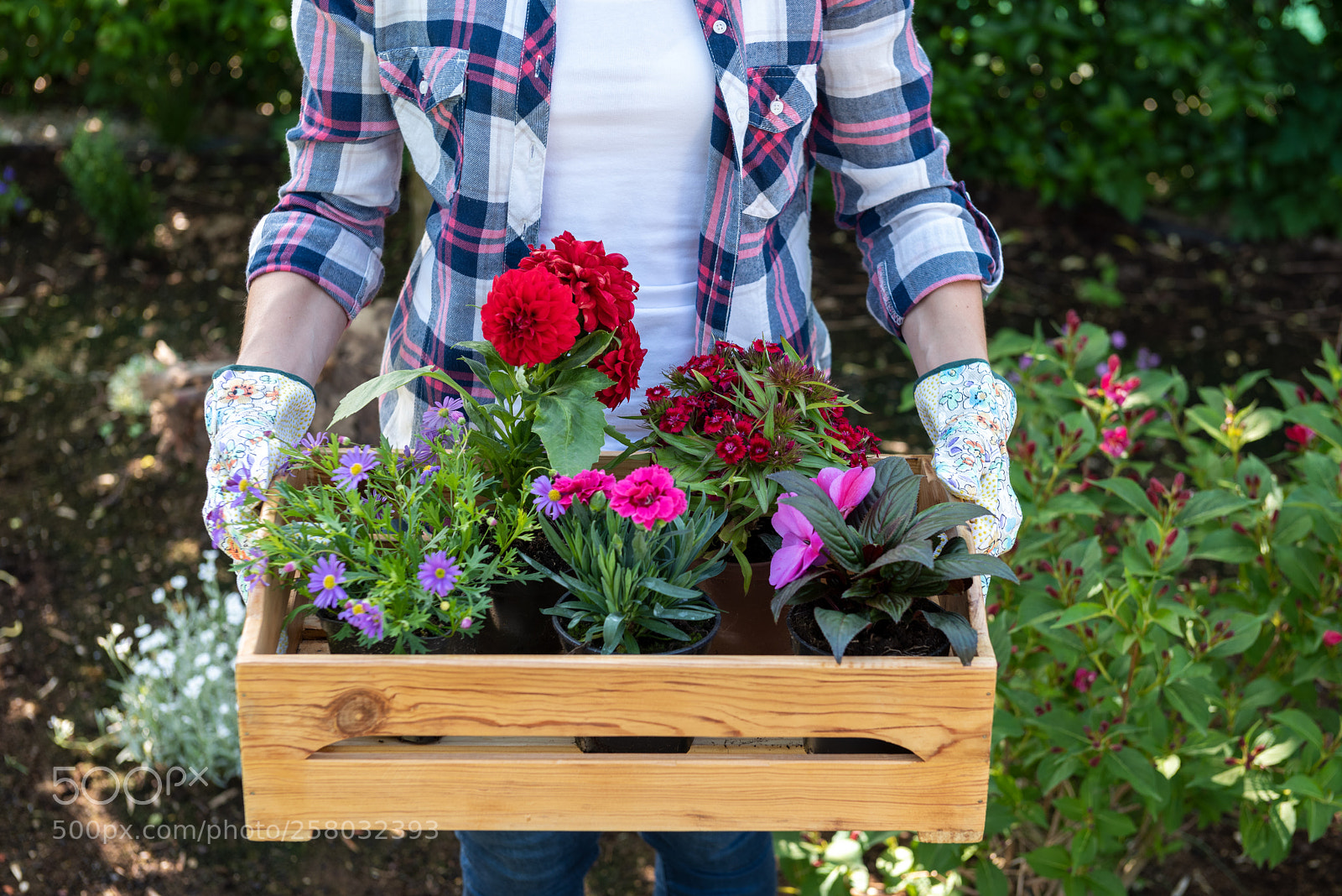 Nikon D810 sample photo. Young female gardener holding photography