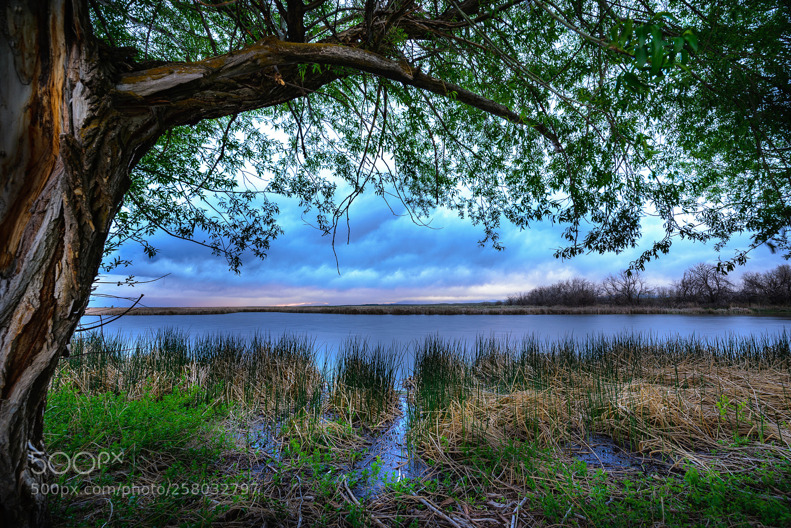 Nikon D610 sample photo. Sunset pond photography