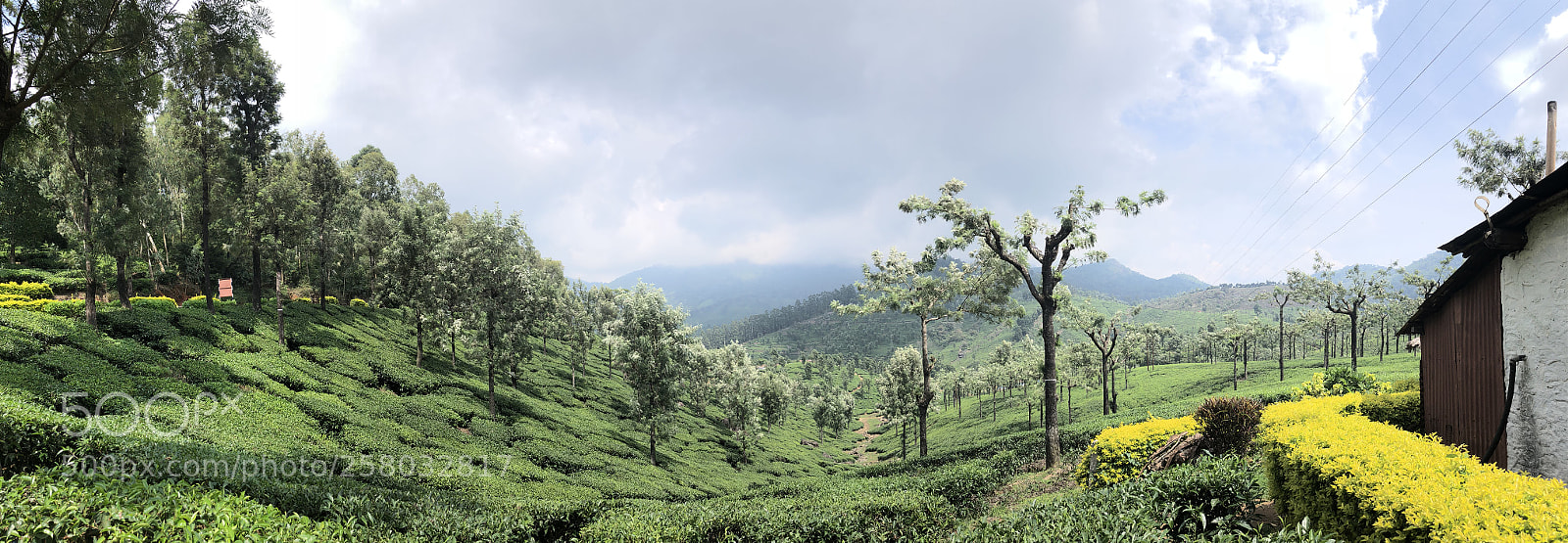 Apple iPhone 8 Plus sample photo. Valparai? photography